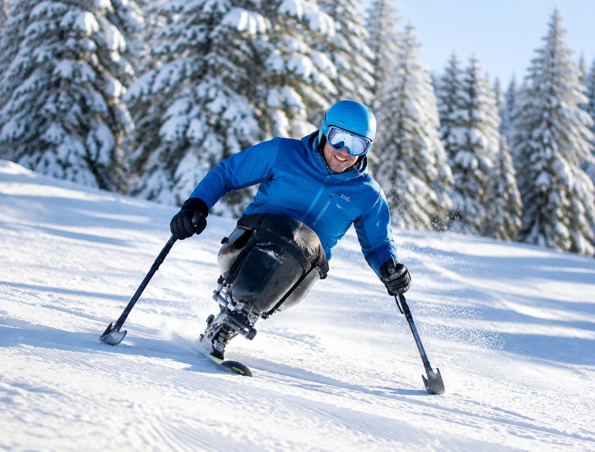 A sit-skier carving through fresh snow among pine trees